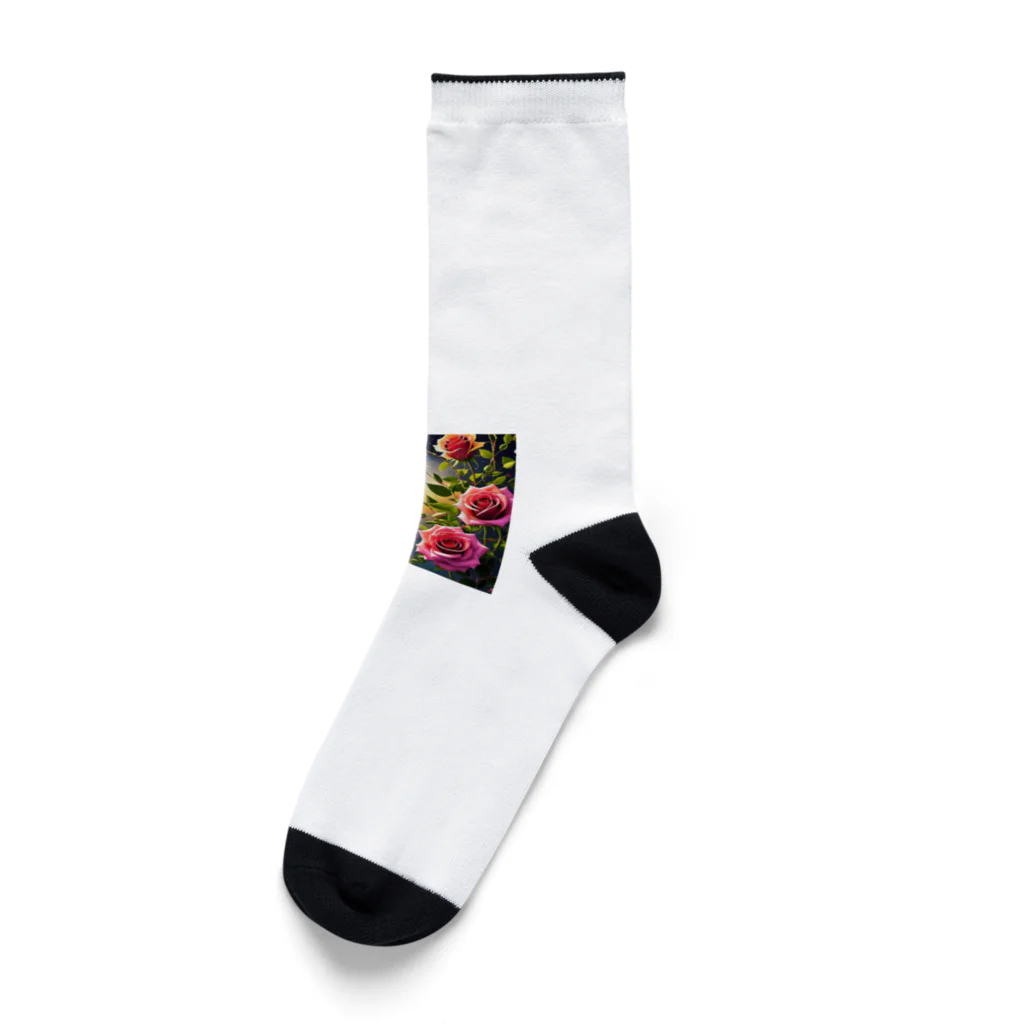 reonasdの情熱の神秘薔薇 Socks