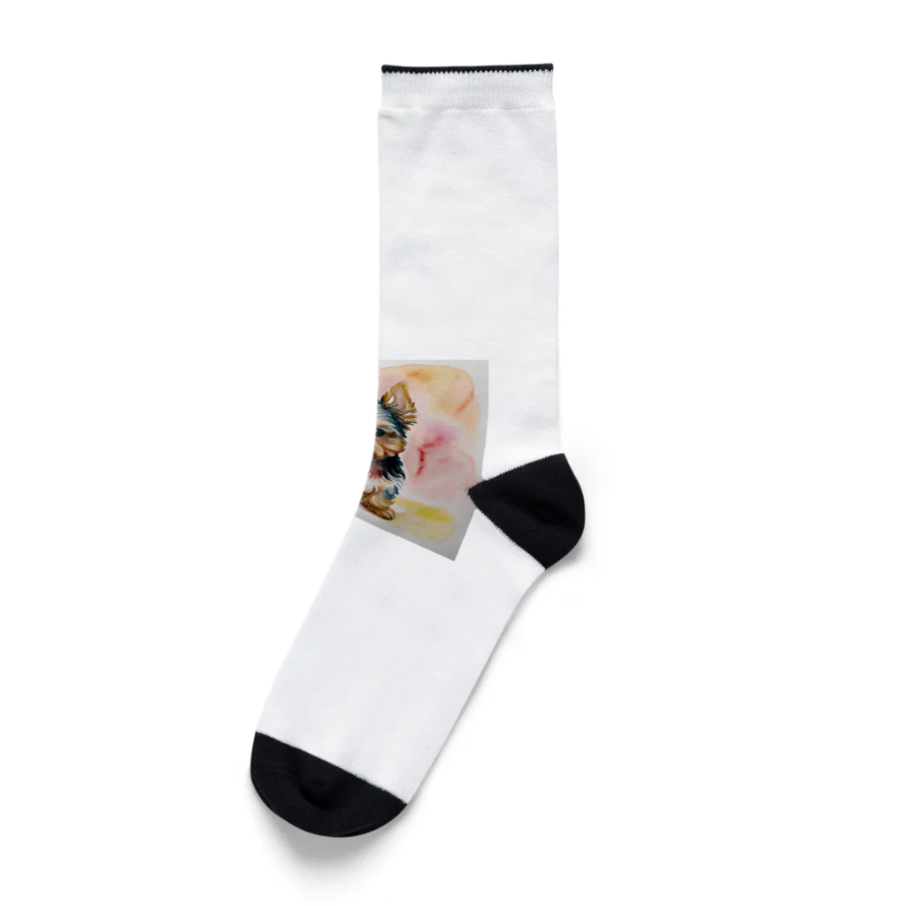 ようこそ　taitaitaro shop へのかわいいヨークシャテリアグッズ Socks