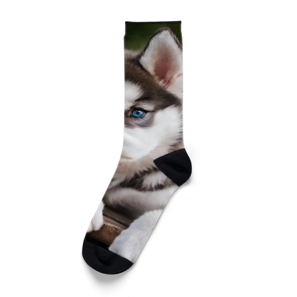 Kybeleのシベリアンハスキーの子犬のグッズ Socks