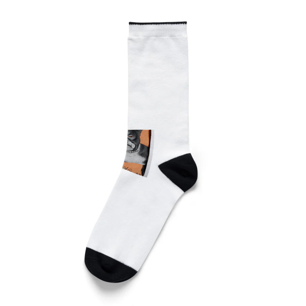 hamusutaroの犬 Socks