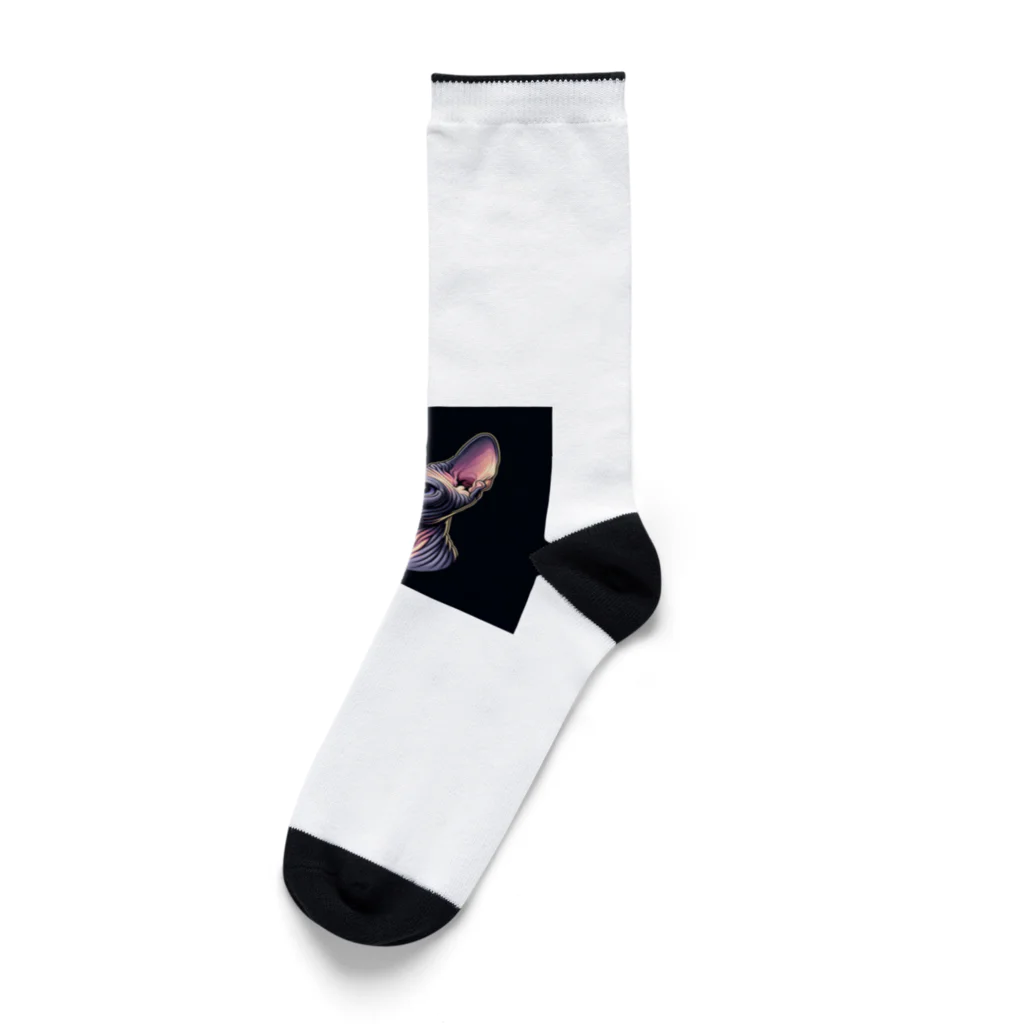 calcium369のスフィンクス Socks