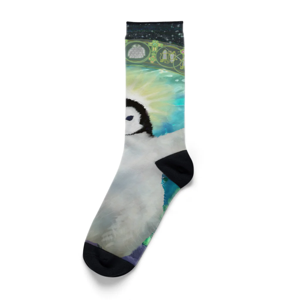 コウテイペンギン至上主義のコウテイペンギン至上主義　ひな様 Socks