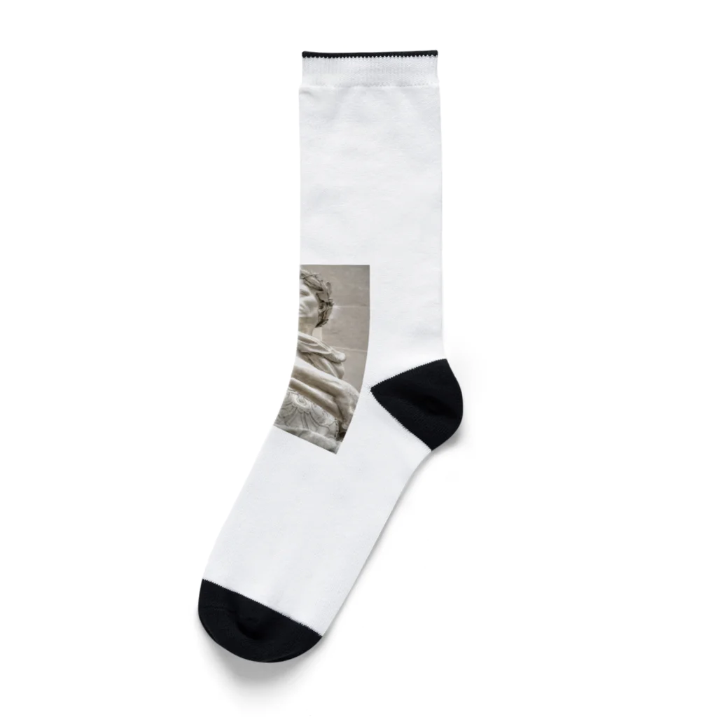 VenusAngelのLuxury Davide Socks