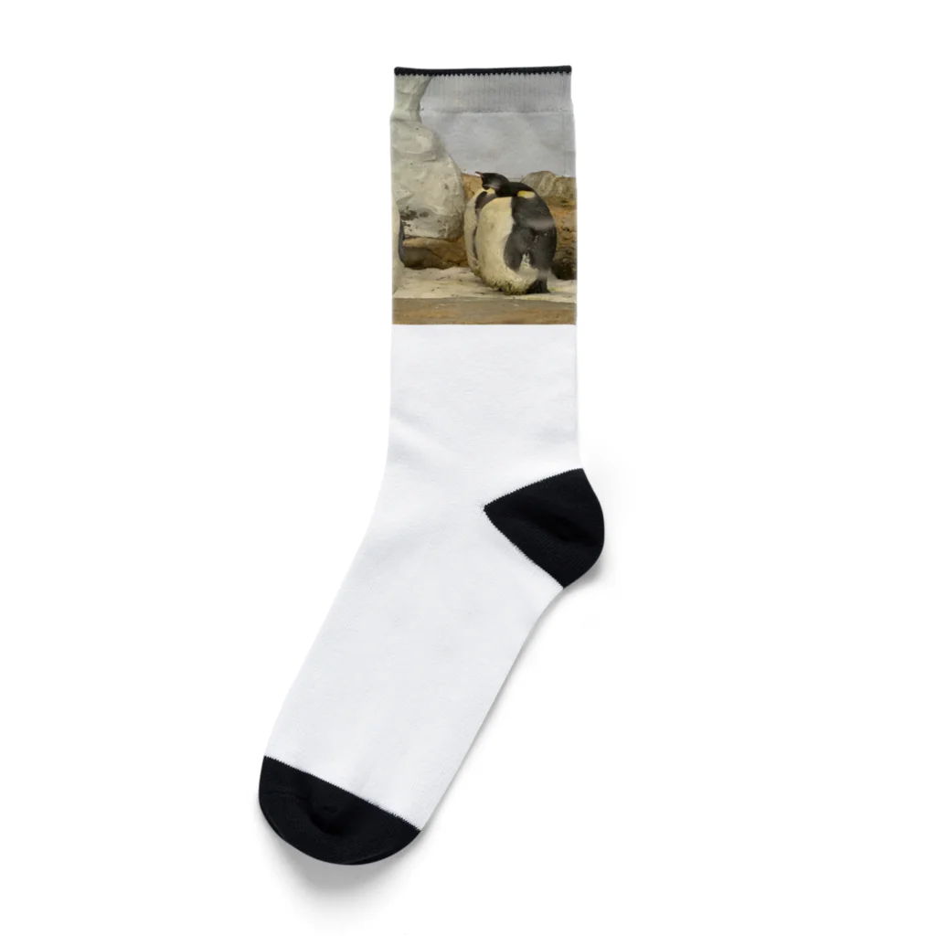 玉手箱のラブラブペンギン Socks