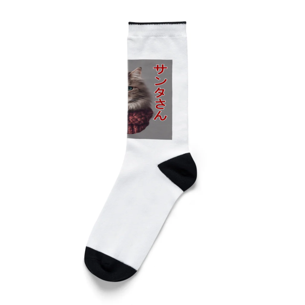 てくのちゃんのサンタを信じてる猫 Socks