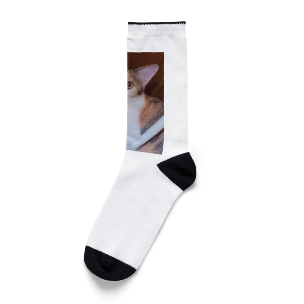 L&Vのチョコちゃん1 Socks