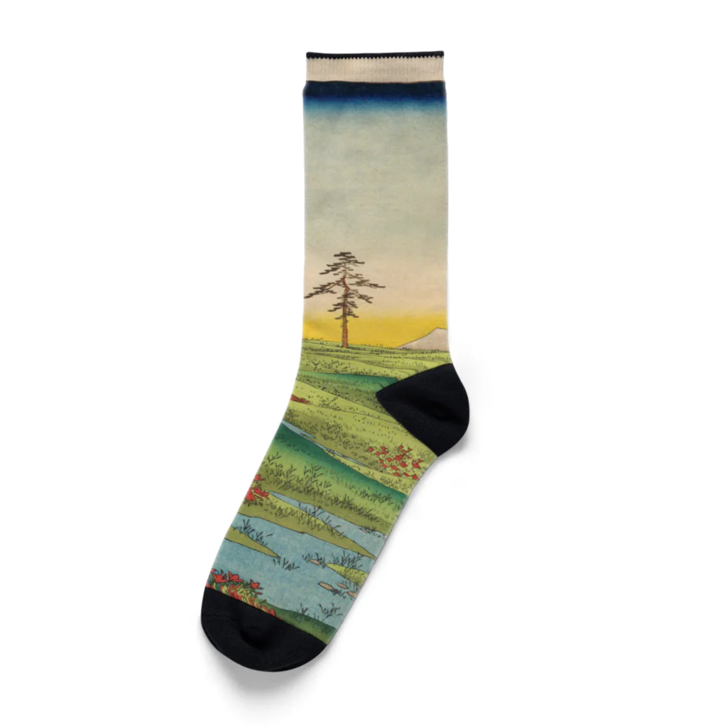 浮世絵屋の広重「冨二三十六景㉝　下総小金原」歌川広重の浮世絵 Socks