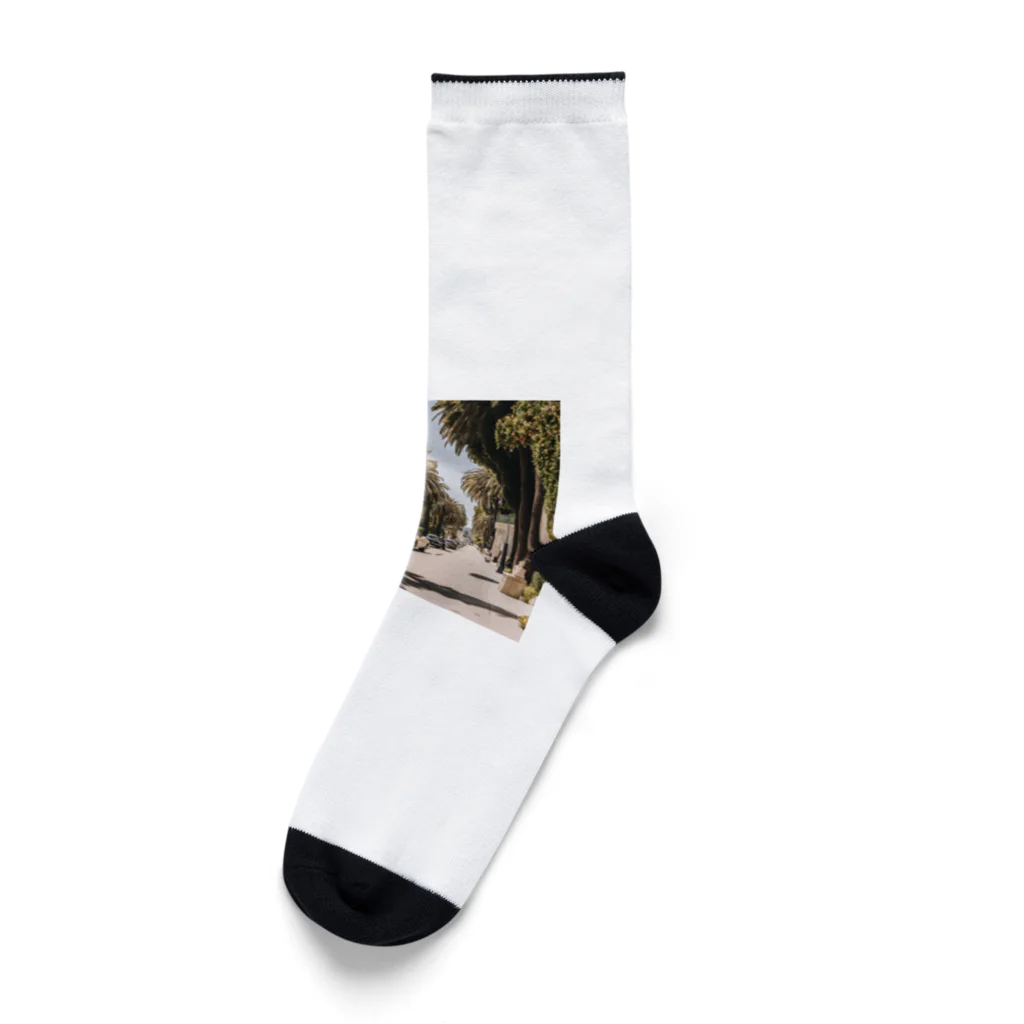 サーフサイドファッションのパームラインクルーズ Socks