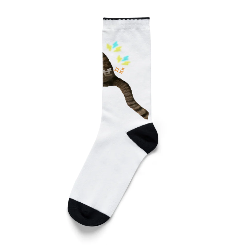 tkmhw832のソックス Socks