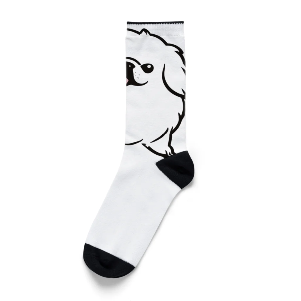 ファンシーTシャツ屋のペキニーズちゃん Socks