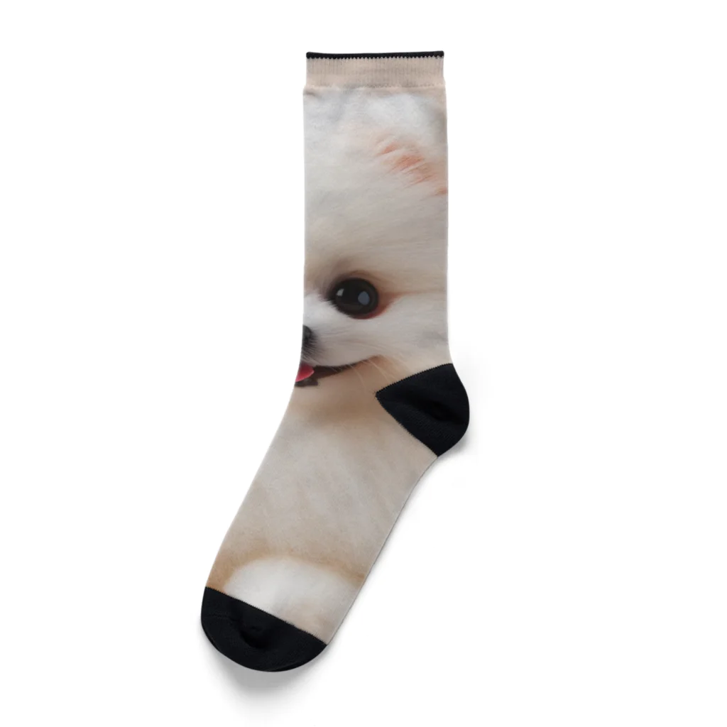 LALAの白ポメグッズ Socks