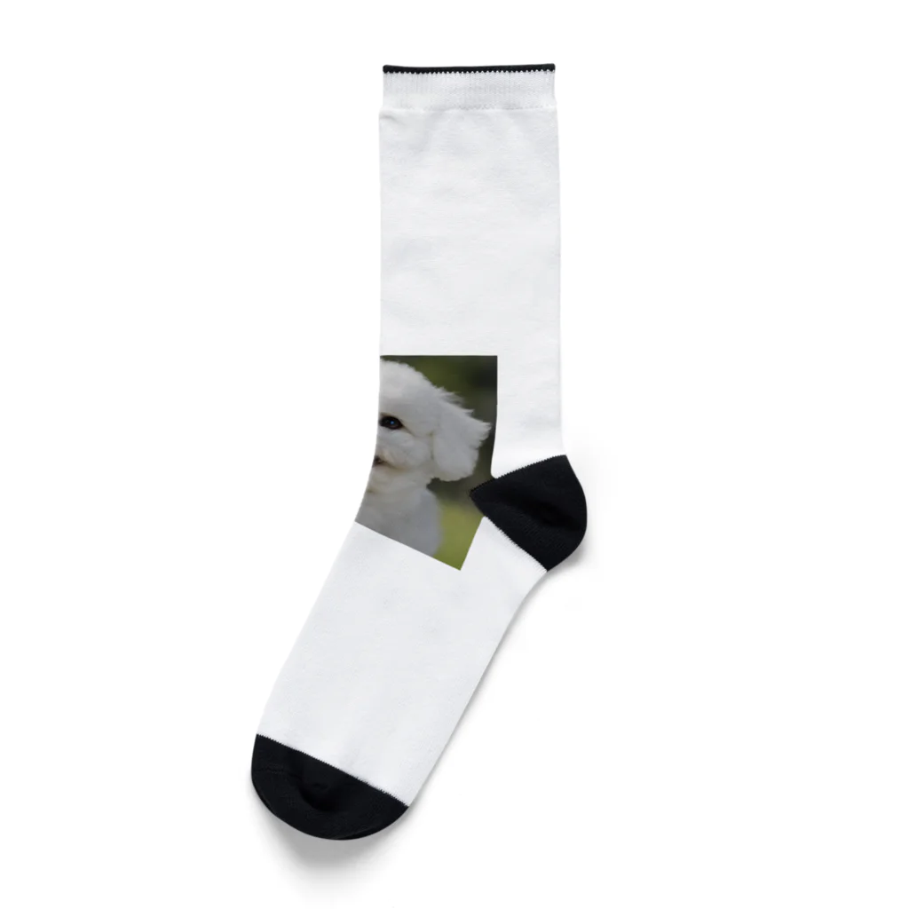 mofu-landの白もふ Socks