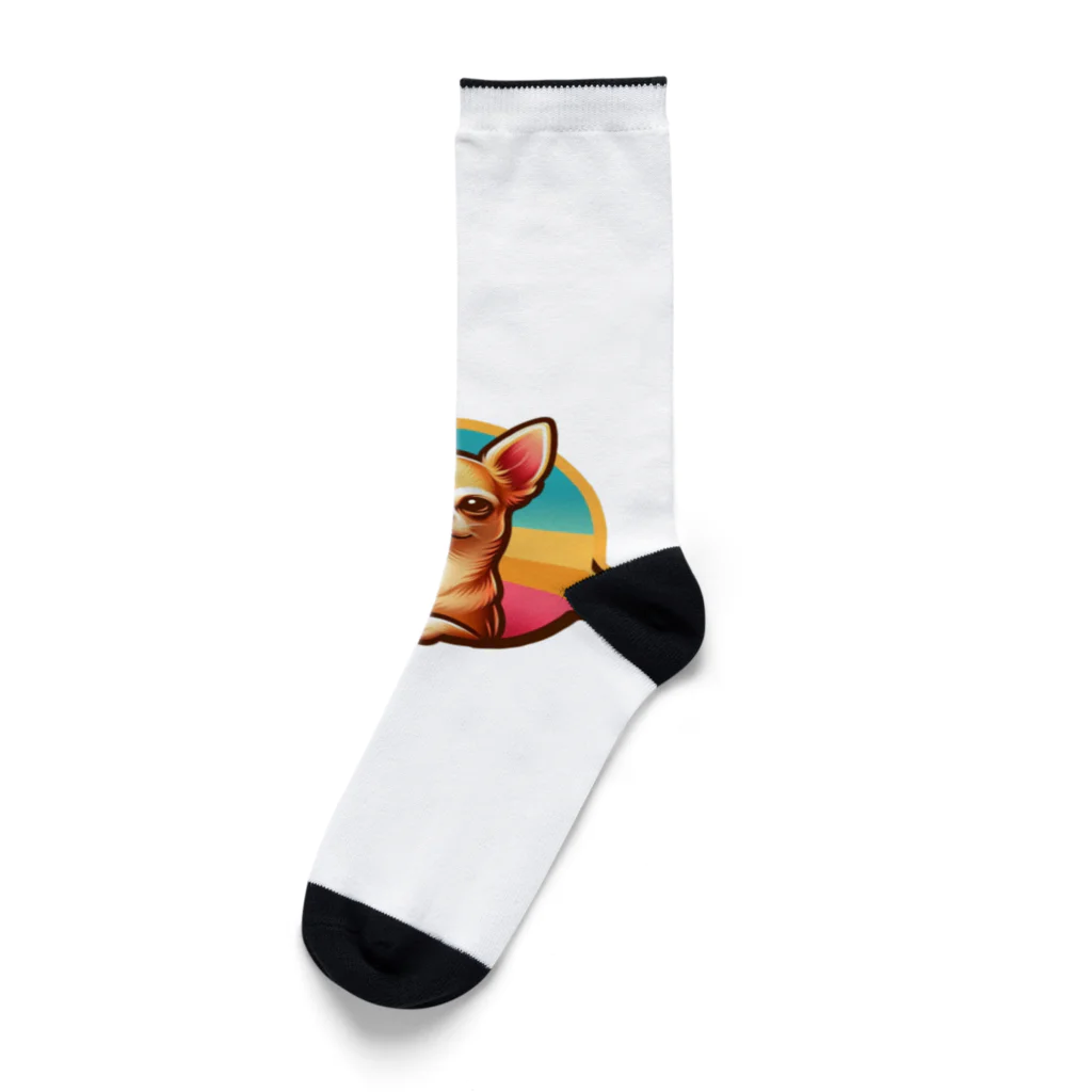 ちわわんのチワワン Socks