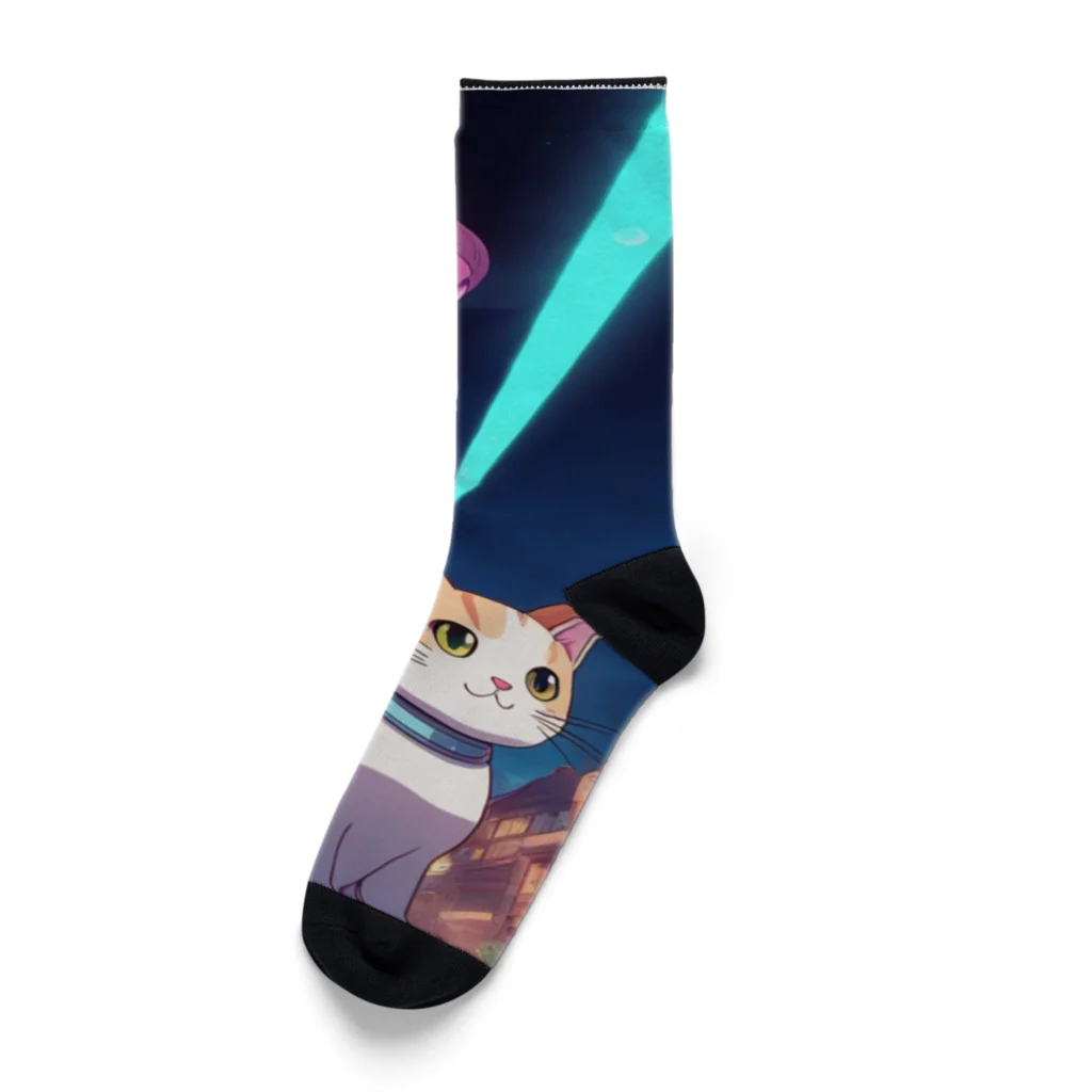 ParadigmStar　パラダイムスターの『猫』と『UFO』が融合した驚愕のキャトルミューティレーションシリーズ Socks