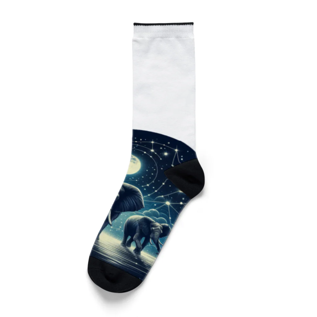 FUMYのNight  Elephant Symphonic Socks