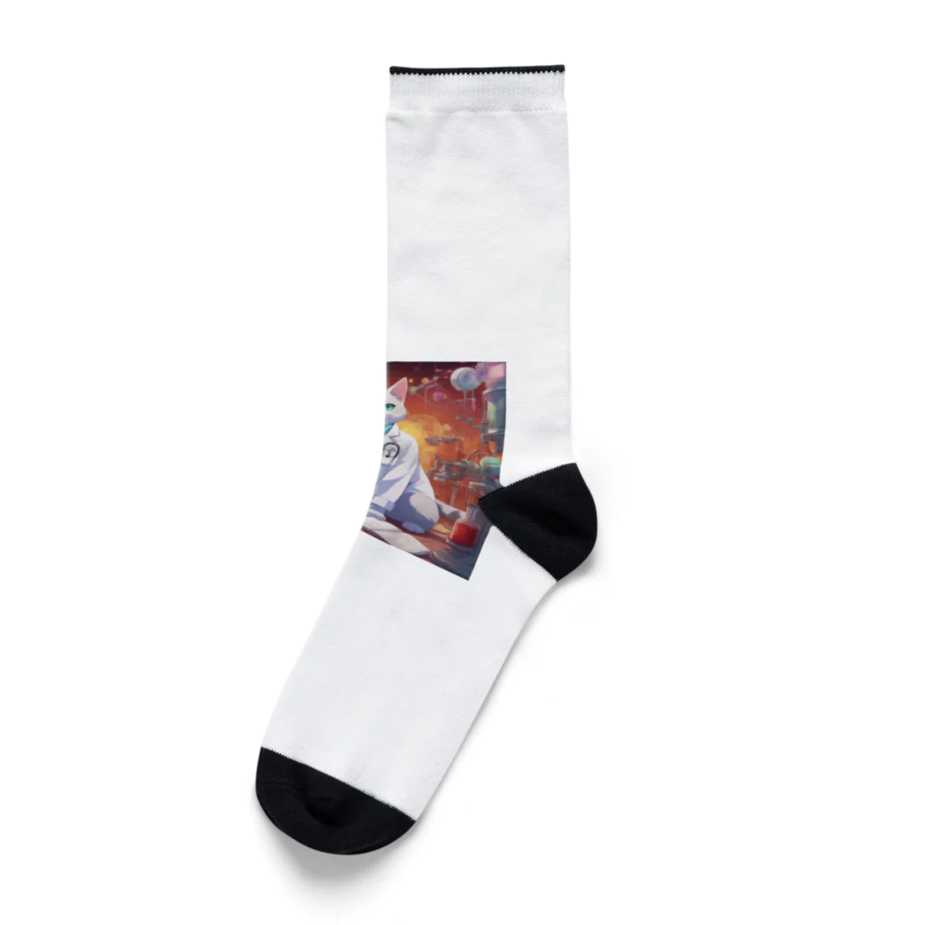 mentoreのフェリクス Socks