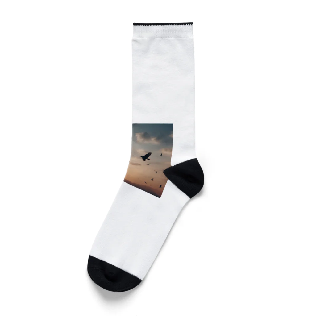 DISNの鳥の羽ばたく空 Socks