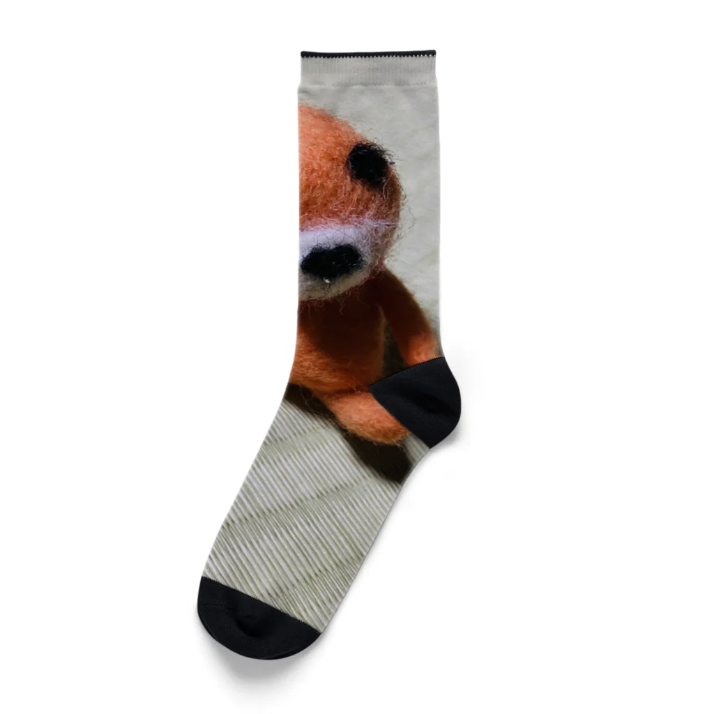 ポメラニアンのアリスくんの謎の生き物 Socks