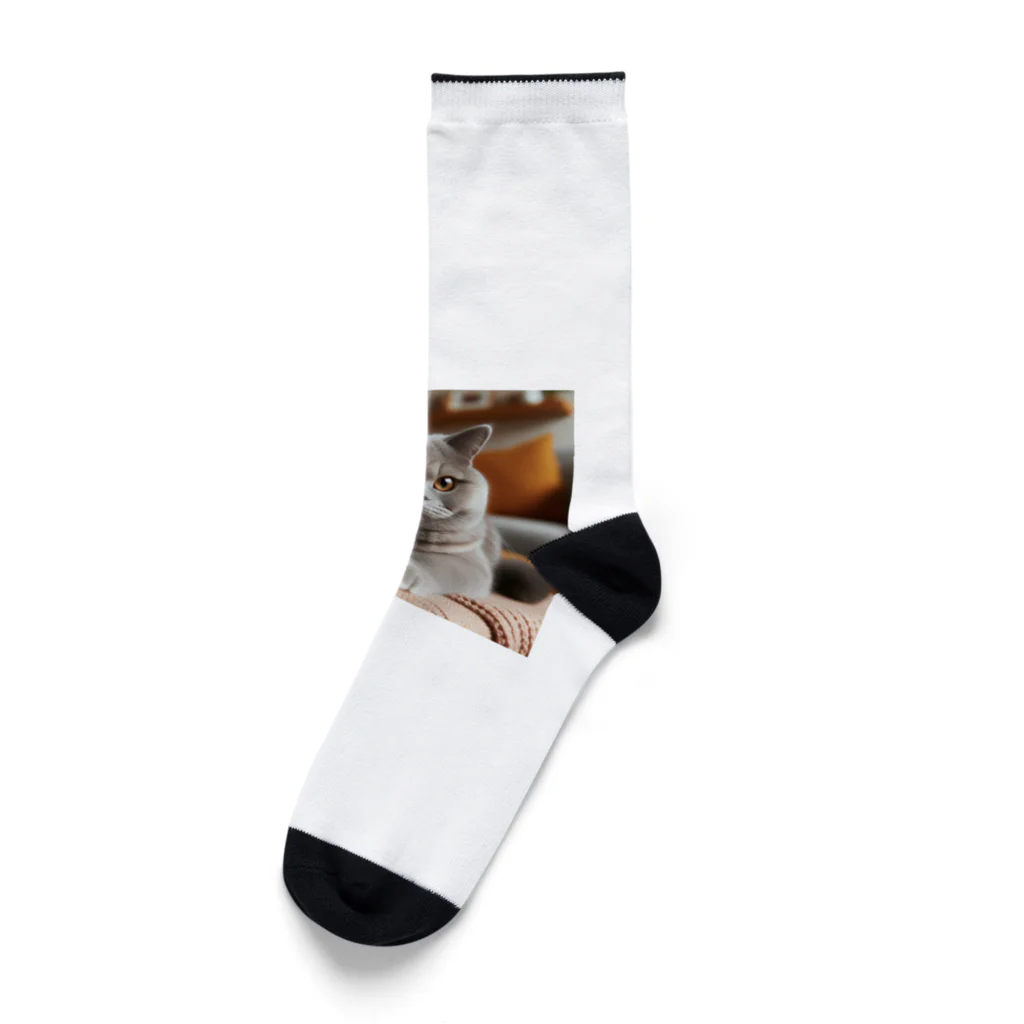 ブリティッシュショップのむちむちブリティッシュ Socks