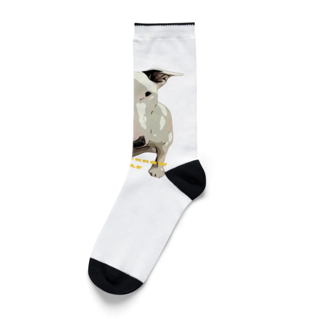 ブルテリアのラルフのone eyebrow RALF Socks