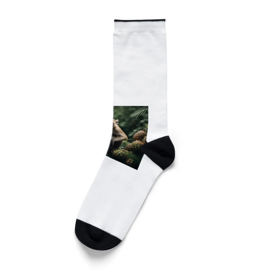 ZORATHのパイナップル　サル Socks