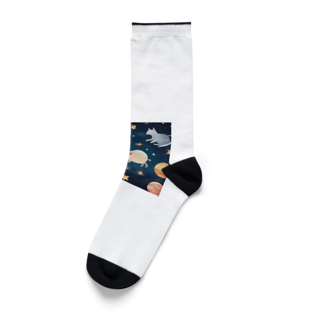 宇宙屋さんの宇宙の楽園で共に輝く、かわいい動物たち Socks