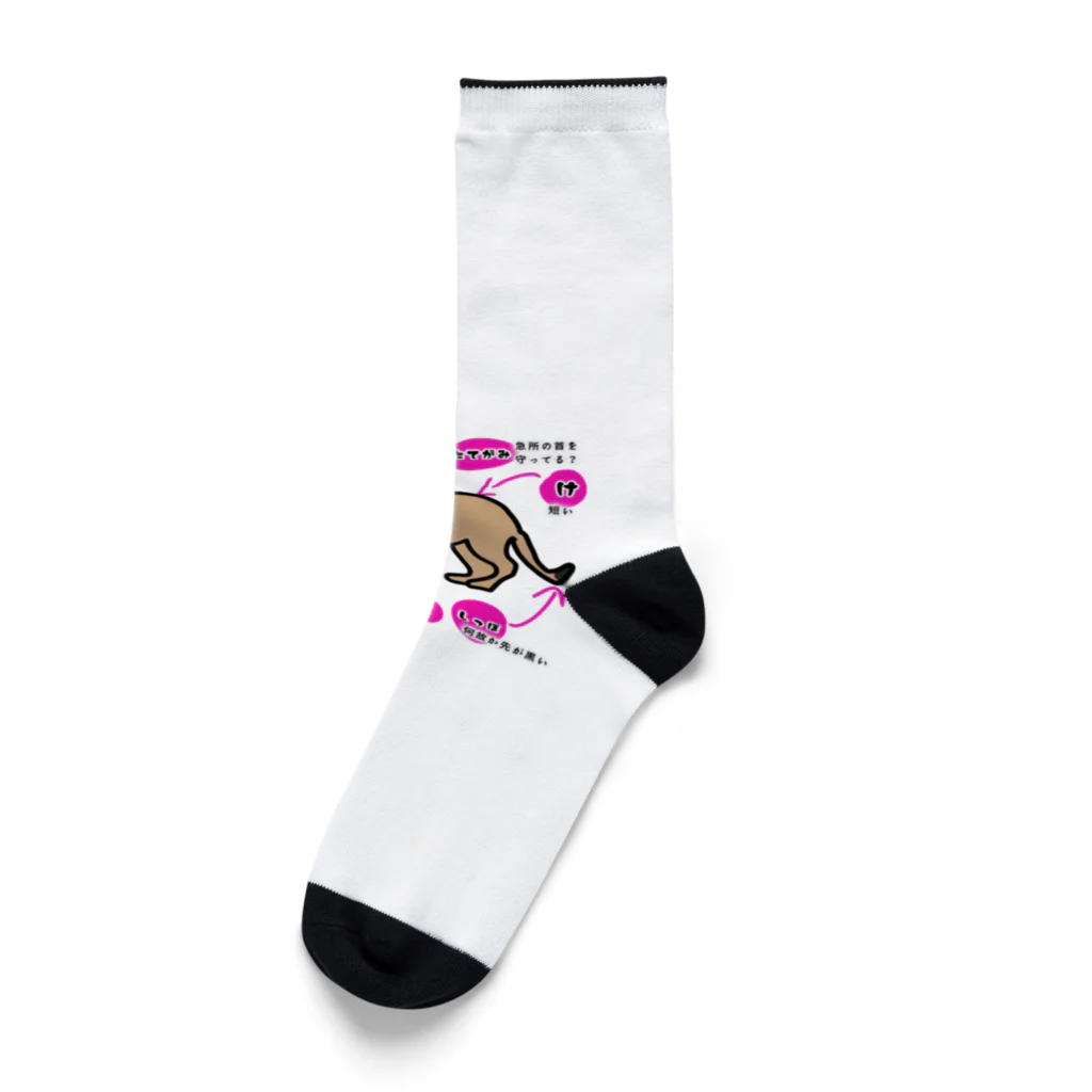 ko-jのライオン Socks