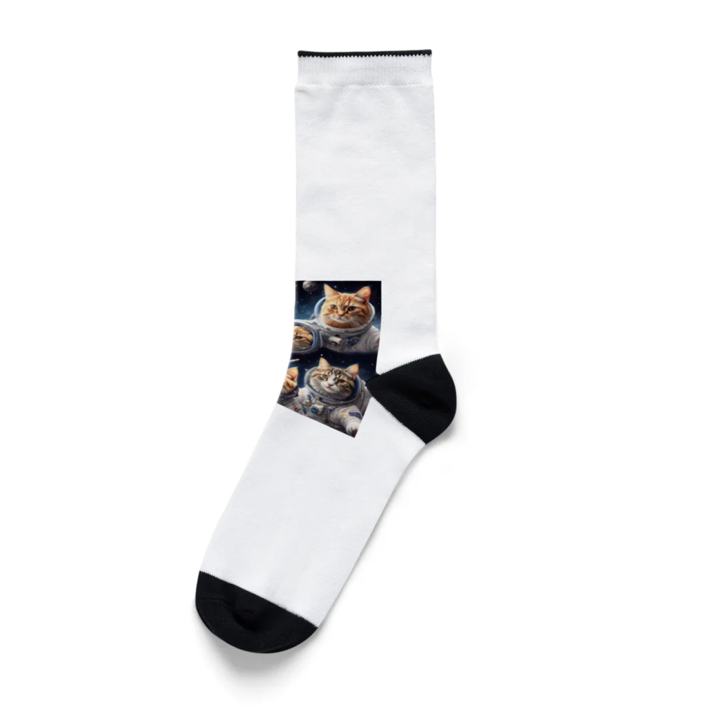 だんのんの猫の宇宙旅行 Socks