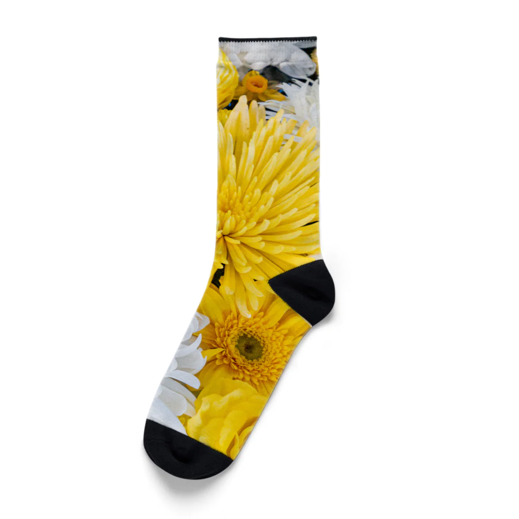 okomeの御手水菊 Socks