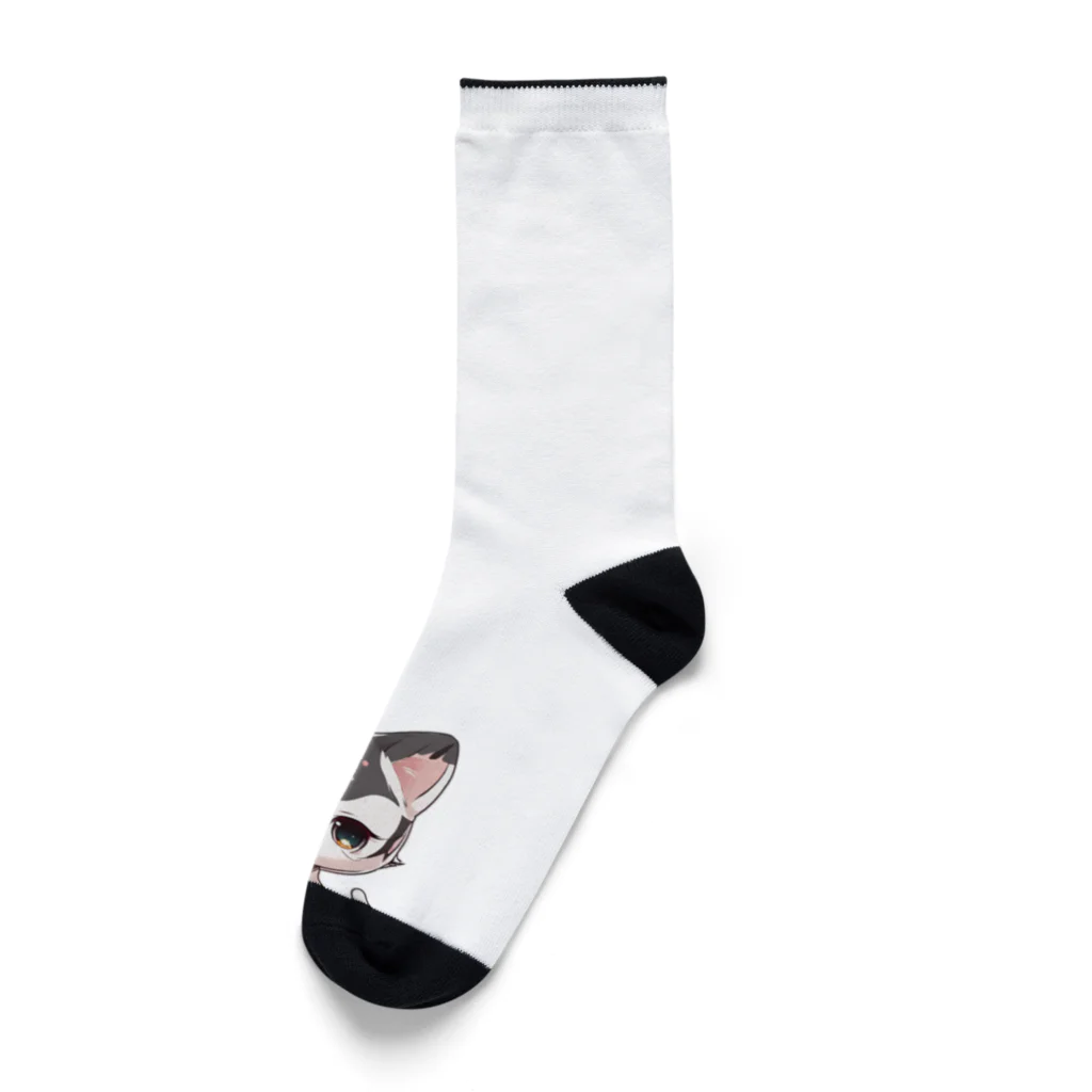 momoAnnu_Shopのルにゃ Socks