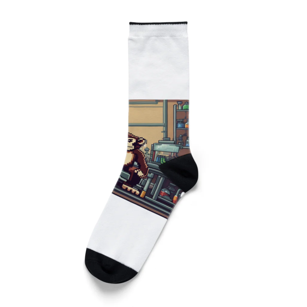 fashionartistarの実験をしているサル Socks