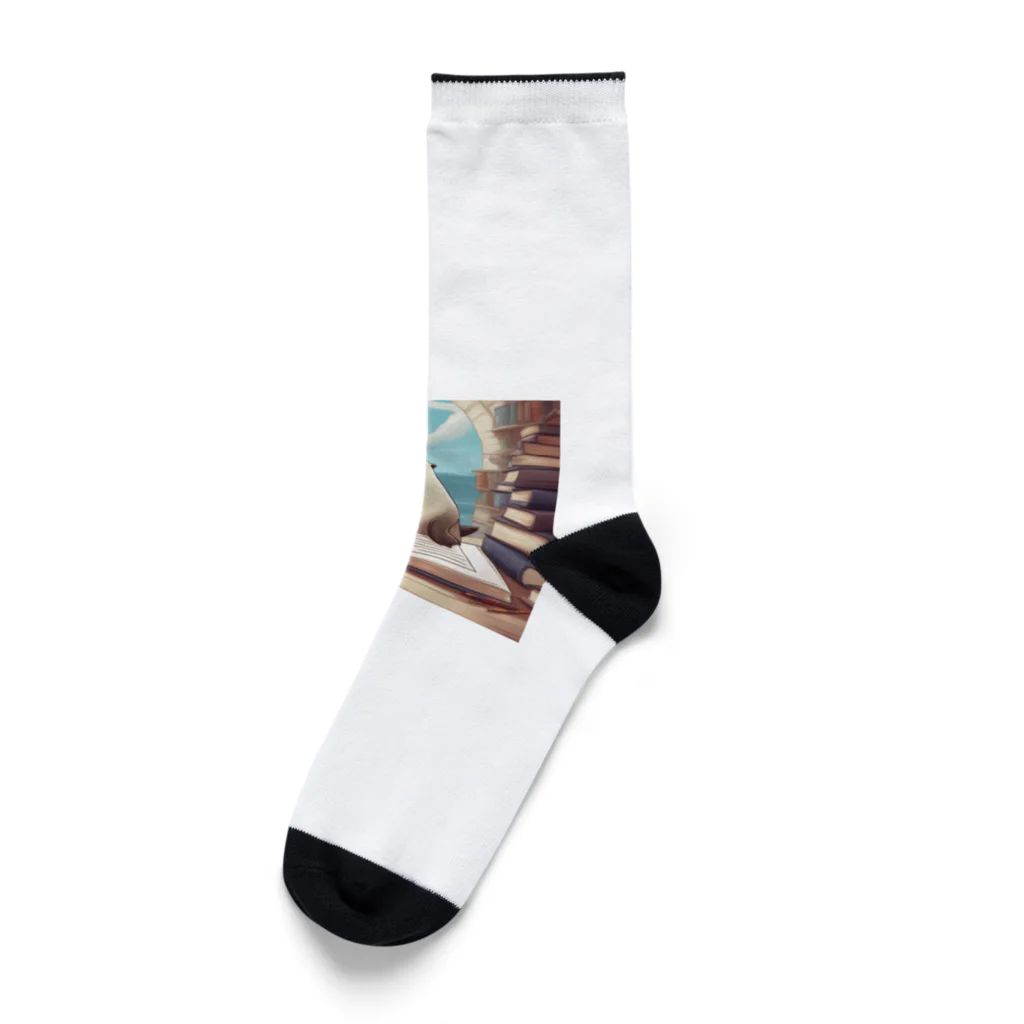 Caneletの学んでいるあざらし Socks