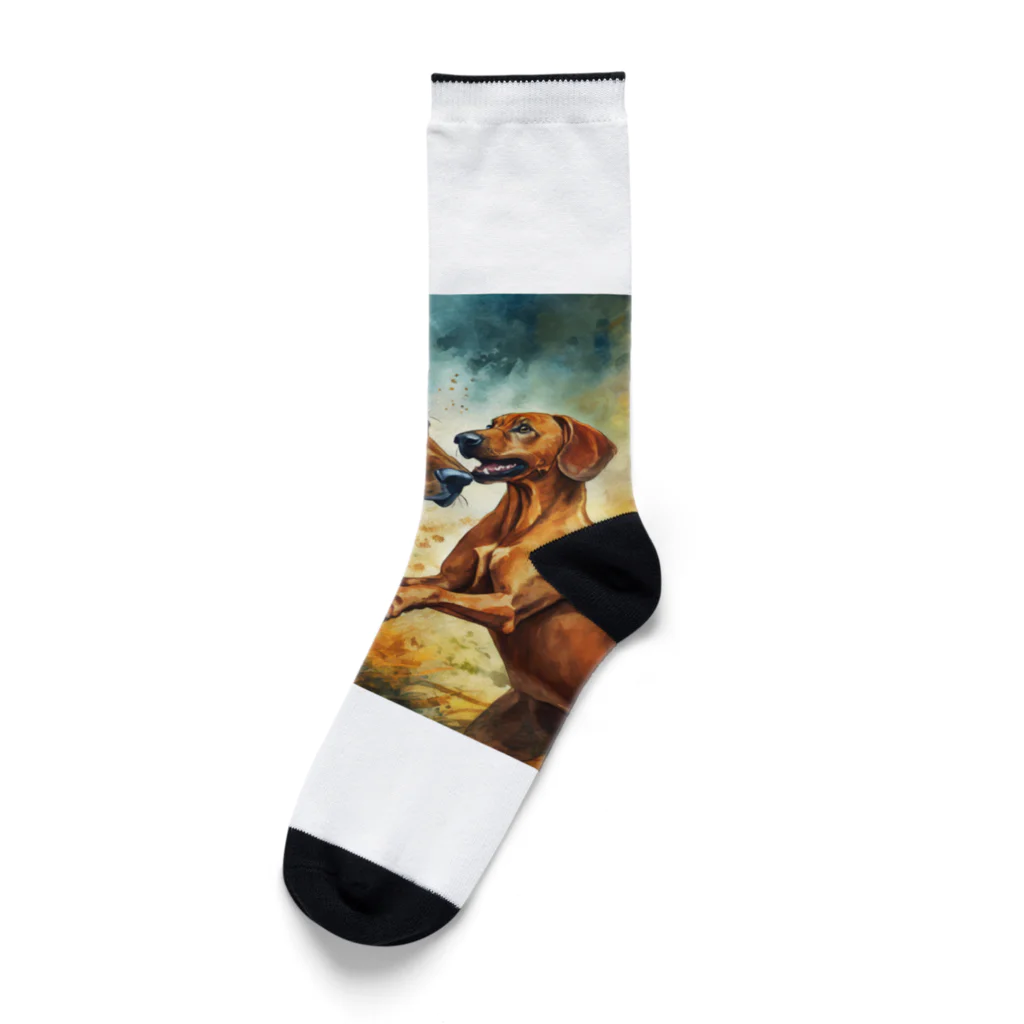 DREAMHOUSEのローデシアンリッジバック Socks