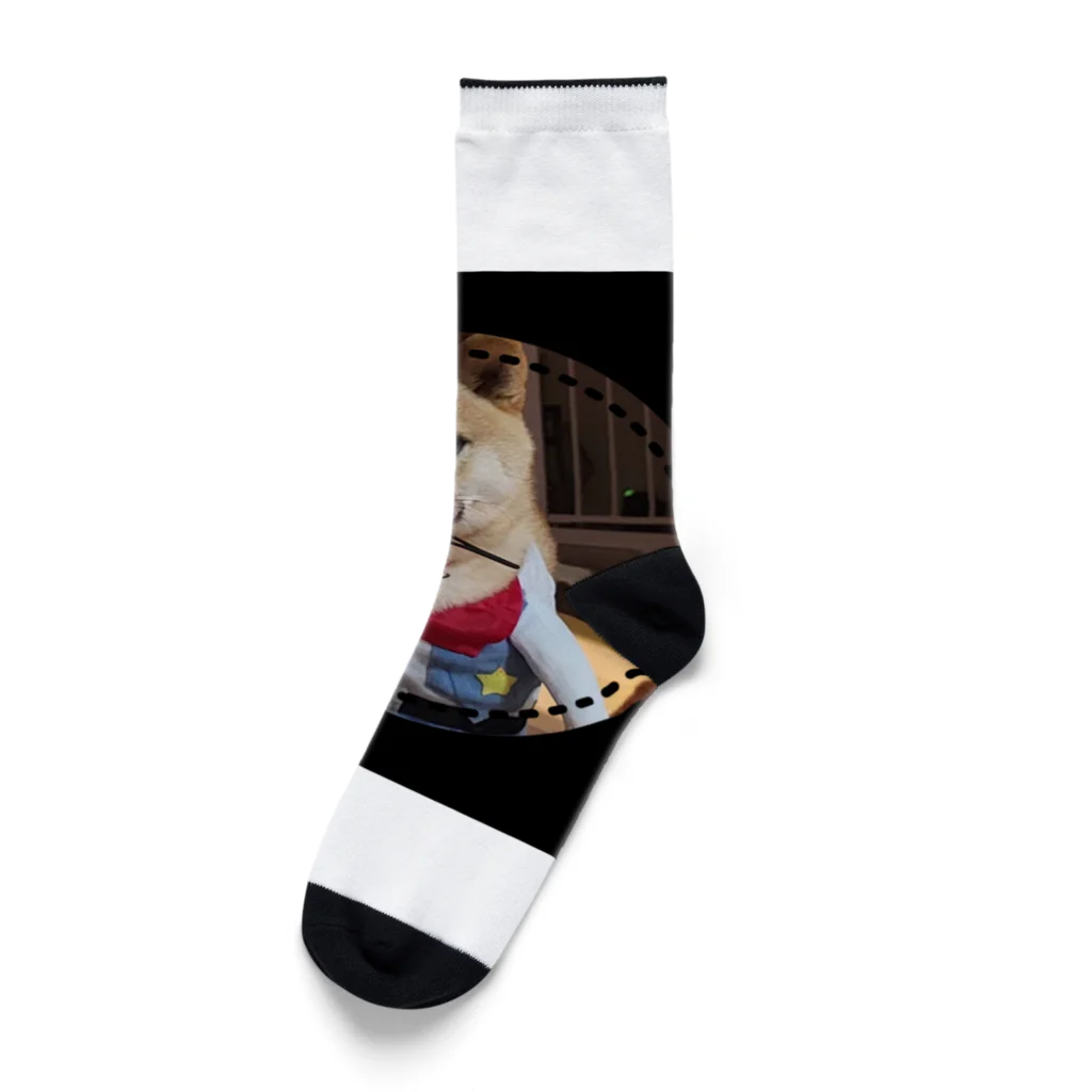 117hibikiの柴犬COOUo･ｪ･oU Socks