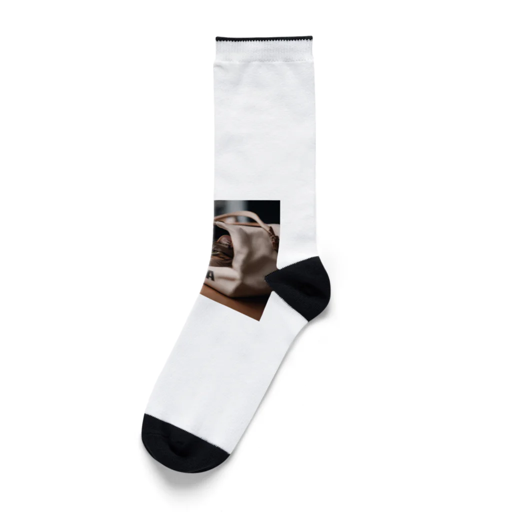 LuckyRiverShineの袋に入っている猫 Socks