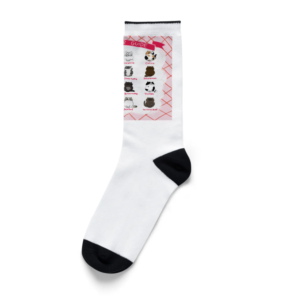 そぼろのプリント屋さんのキャットカラーガイド（ねこ図鑑） Socks