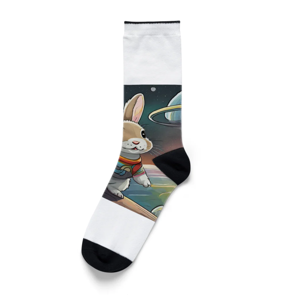 うさぎやの宇宙を旅するうさぎ2 Socks