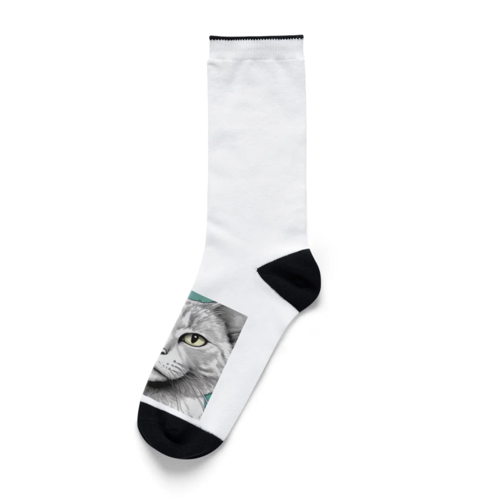 にゃんこーねこのドアップ猫 Socks