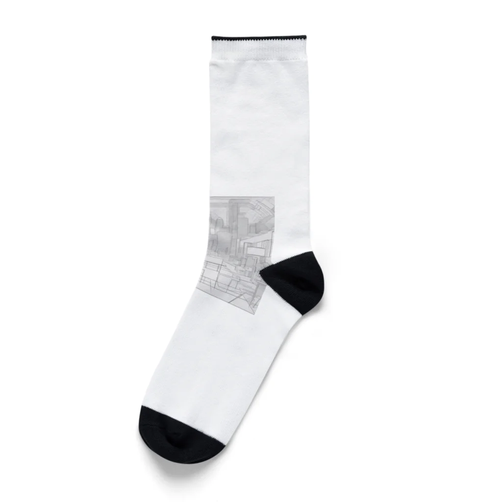 solt-oreの未来 Socks