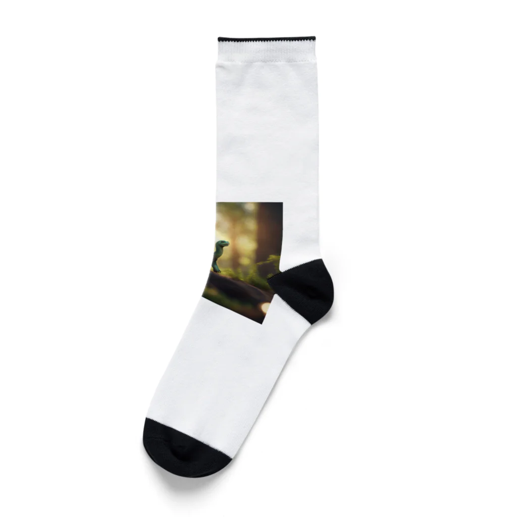 KOKAKORAのアパトサウルス Socks