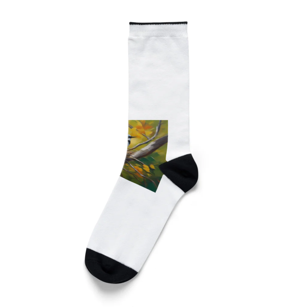 sora377の営巣している鳥 Socks