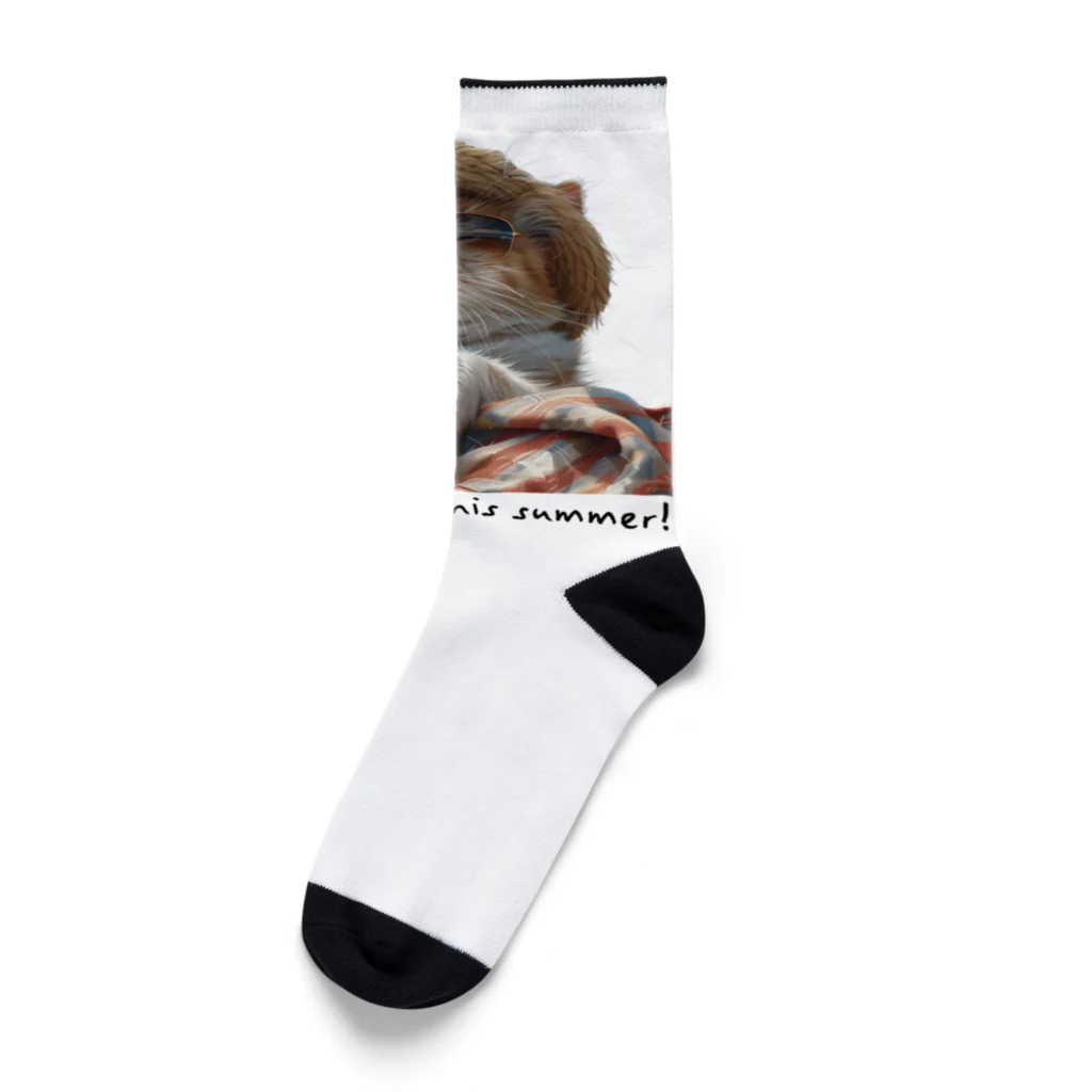 G.O.A.T.designの夏の日差しを満喫する可愛い猫ちゃん Socks