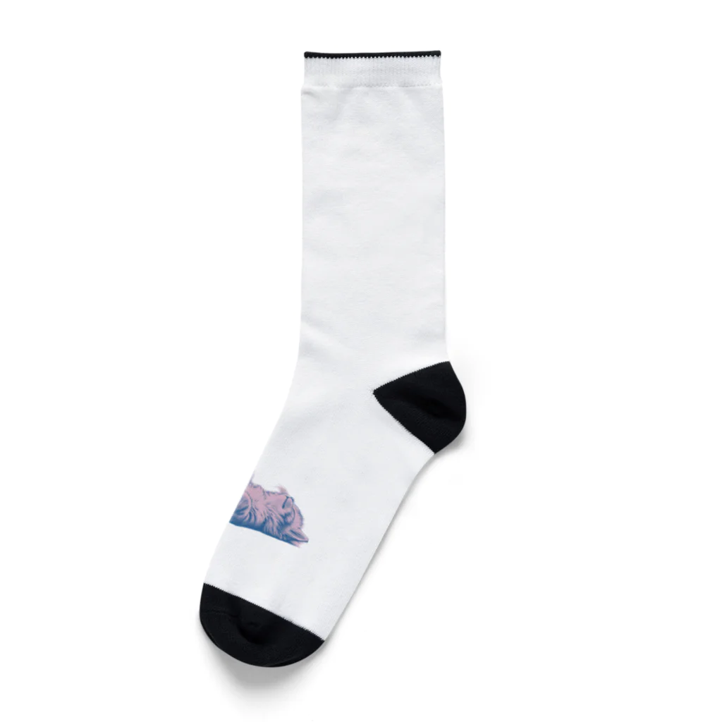 sansamのねこごろり Socks