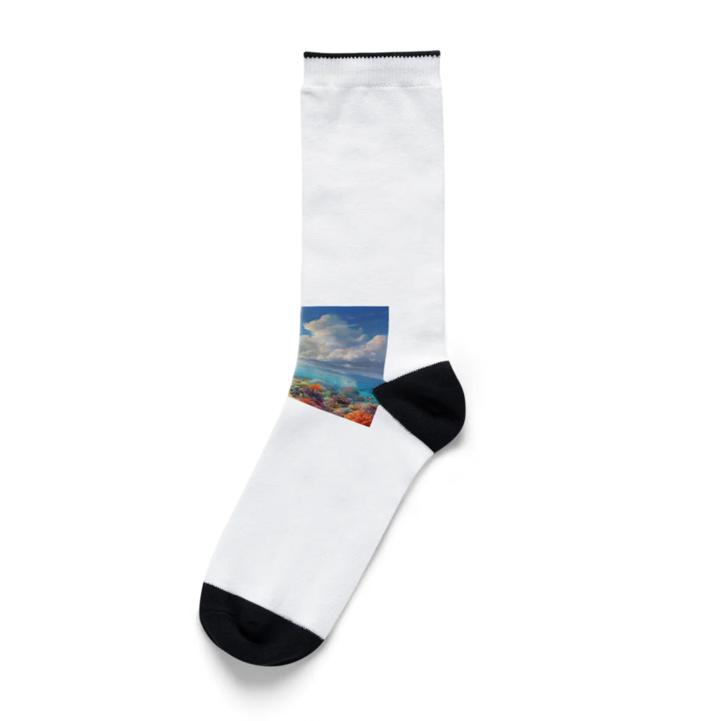 ウェブエンパイアの古（いにしえ）に、太陽の下に海洋と海草がありけり Socks