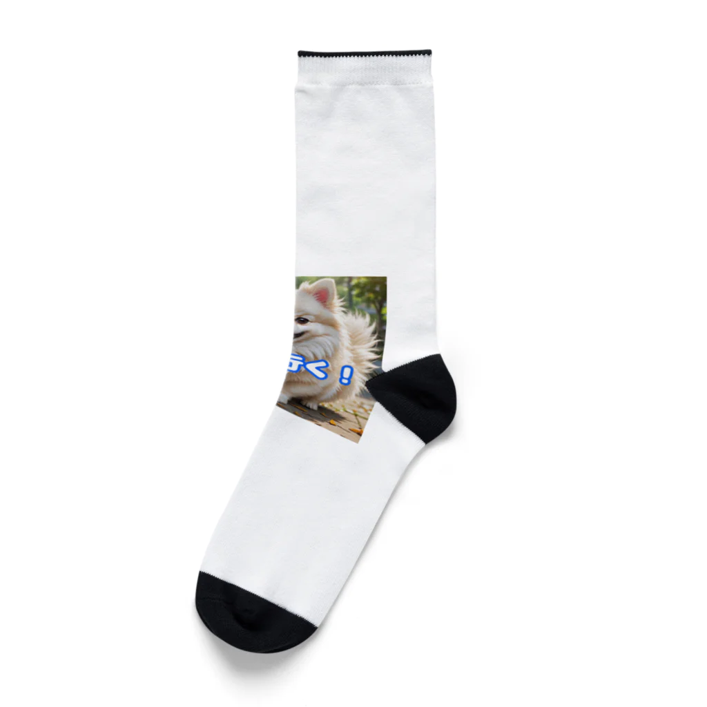 tagamiya7の今から行くポメチワ Socks