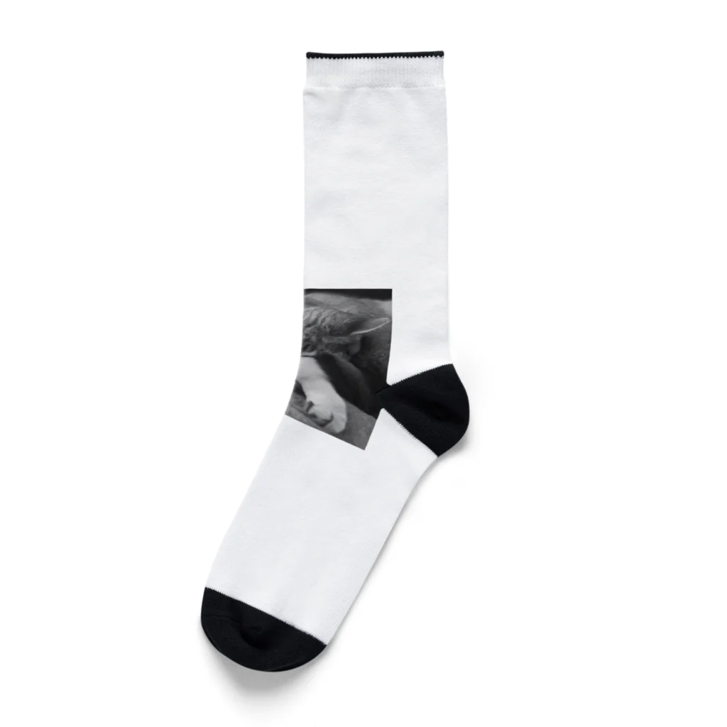 chocomegane0228のモノクロ猫 Socks