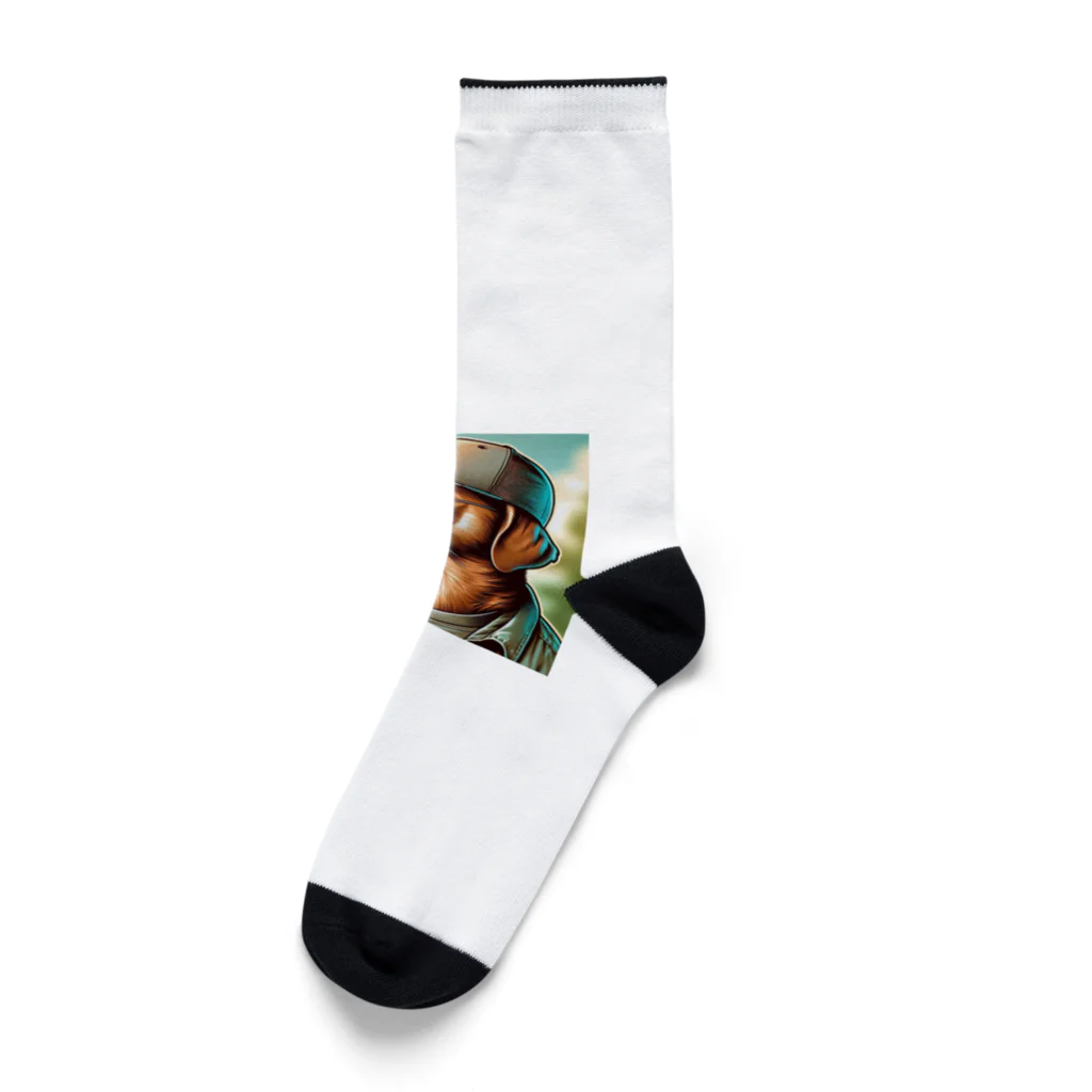 キャップ犬専門店のキャップ犬7 Socks