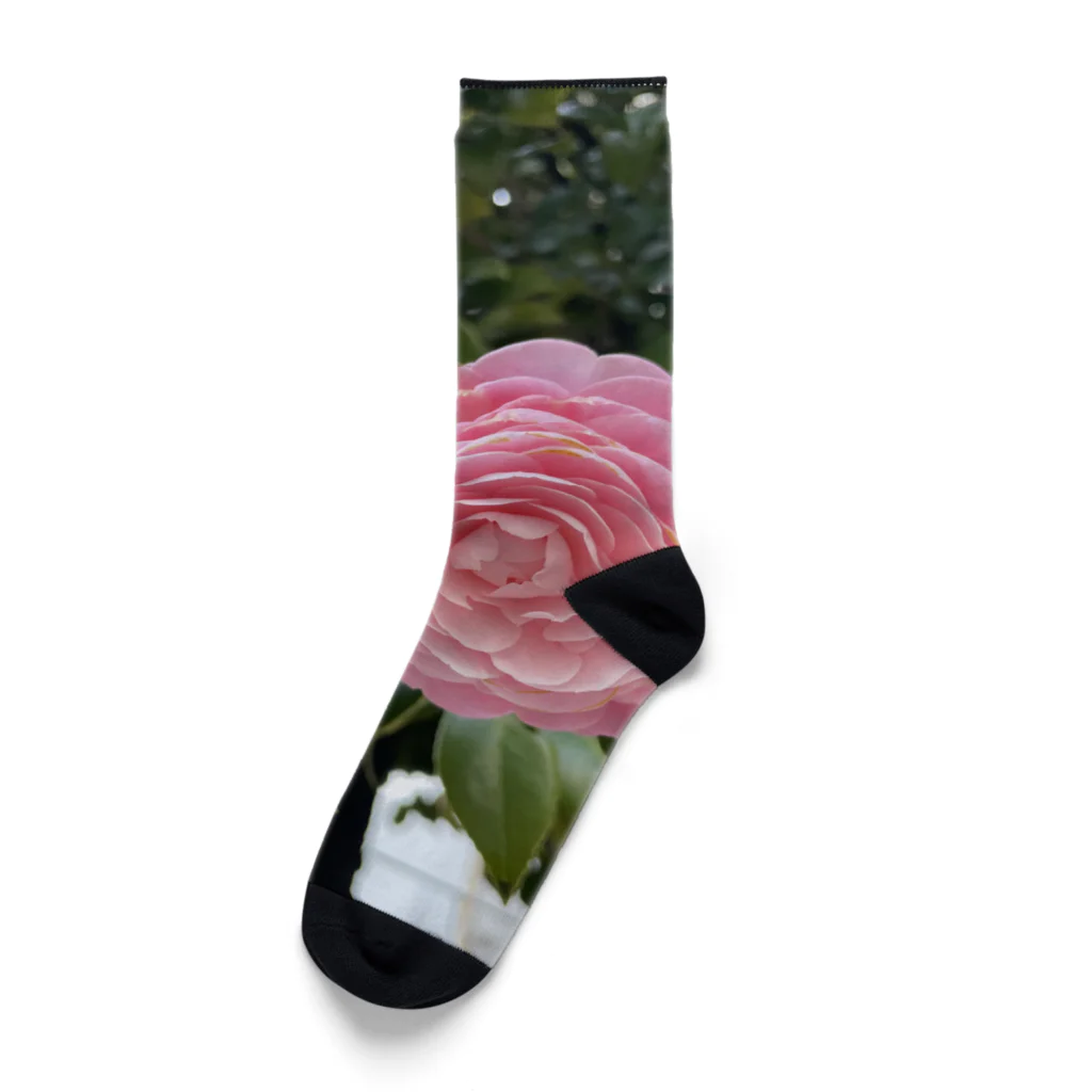 AQUAMETAVERSEの花ブローチ アメジスト2846 Socks