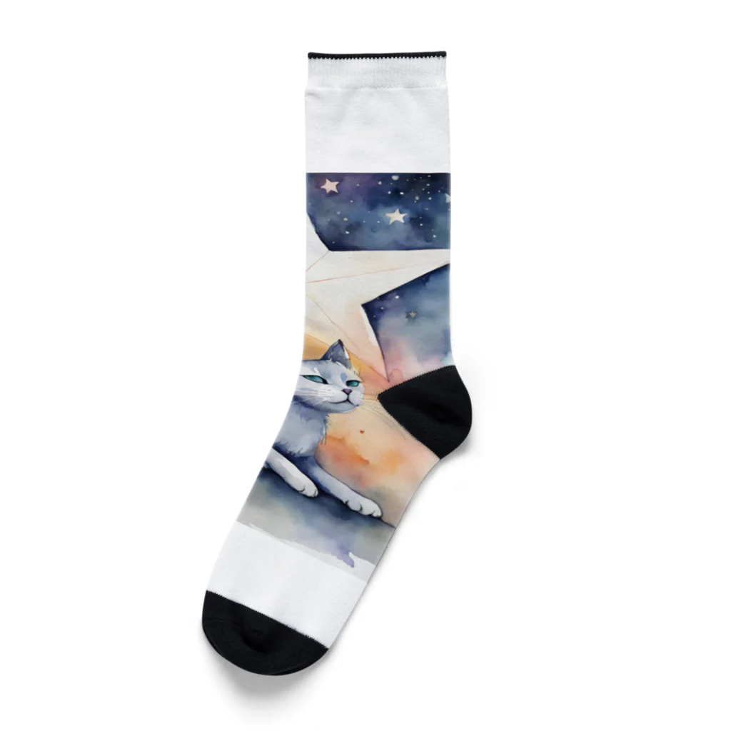 星降る夜にの星追い猫 Socks