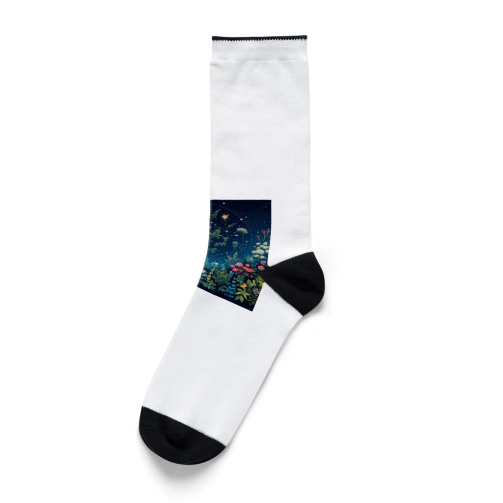 0denkundesuの星彩植譜 Socks